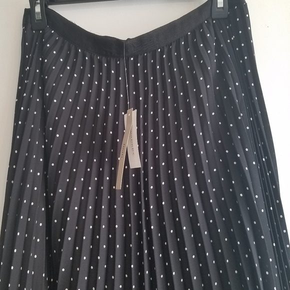Pleated Polka Dot Midi Skirt - Picture 2 of 6
